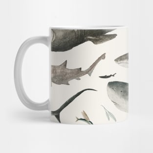 Sharks Mug